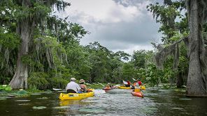 Louisiana business